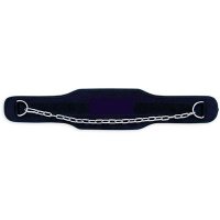 Dip Belt